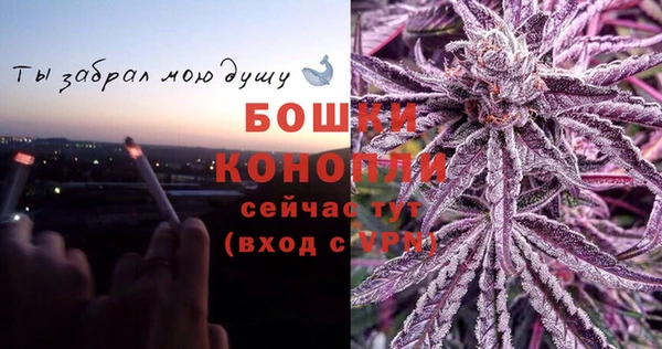 эйфоретик Ладушкин