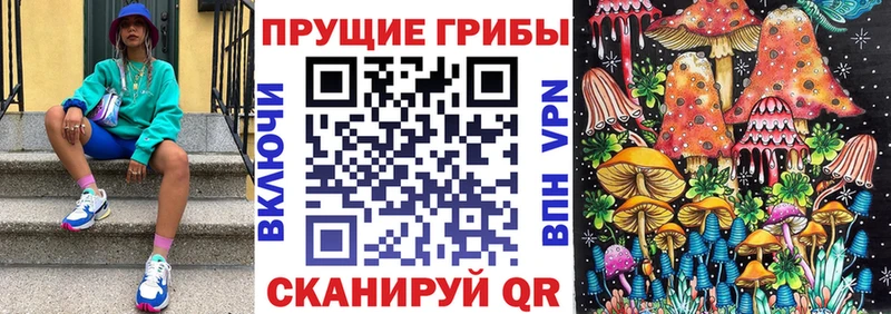 Псилоцибиновые грибы GOLDEN TEACHER  Шадринск 