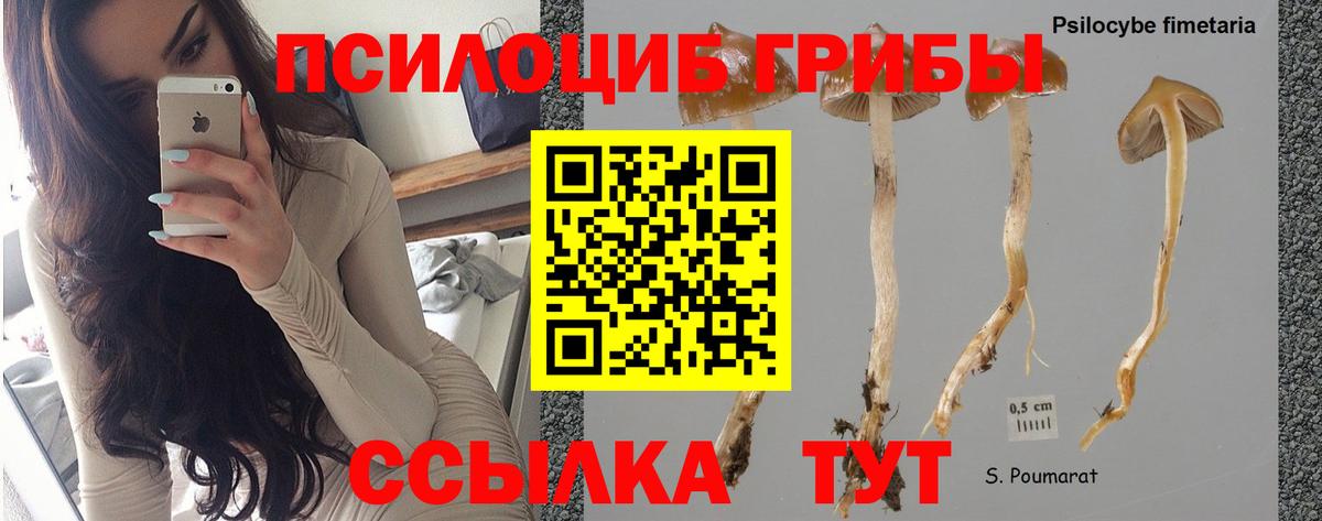 Псилоцибиновые грибы мухоморы  Вход с VPN  Шадринск  Галлюциногенные грибы GOLDEN TEACHER 